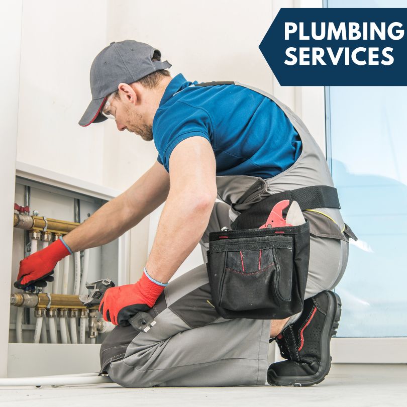 Pheba Plumbing Company